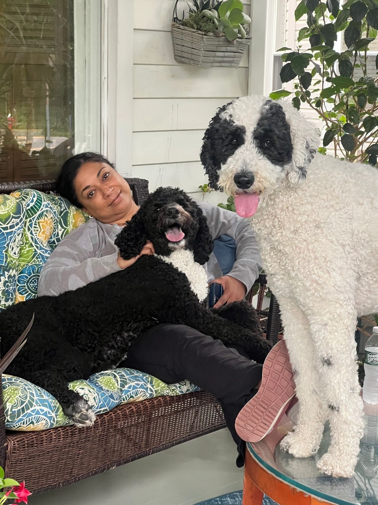 Woman relaxing with two poodles on porch
